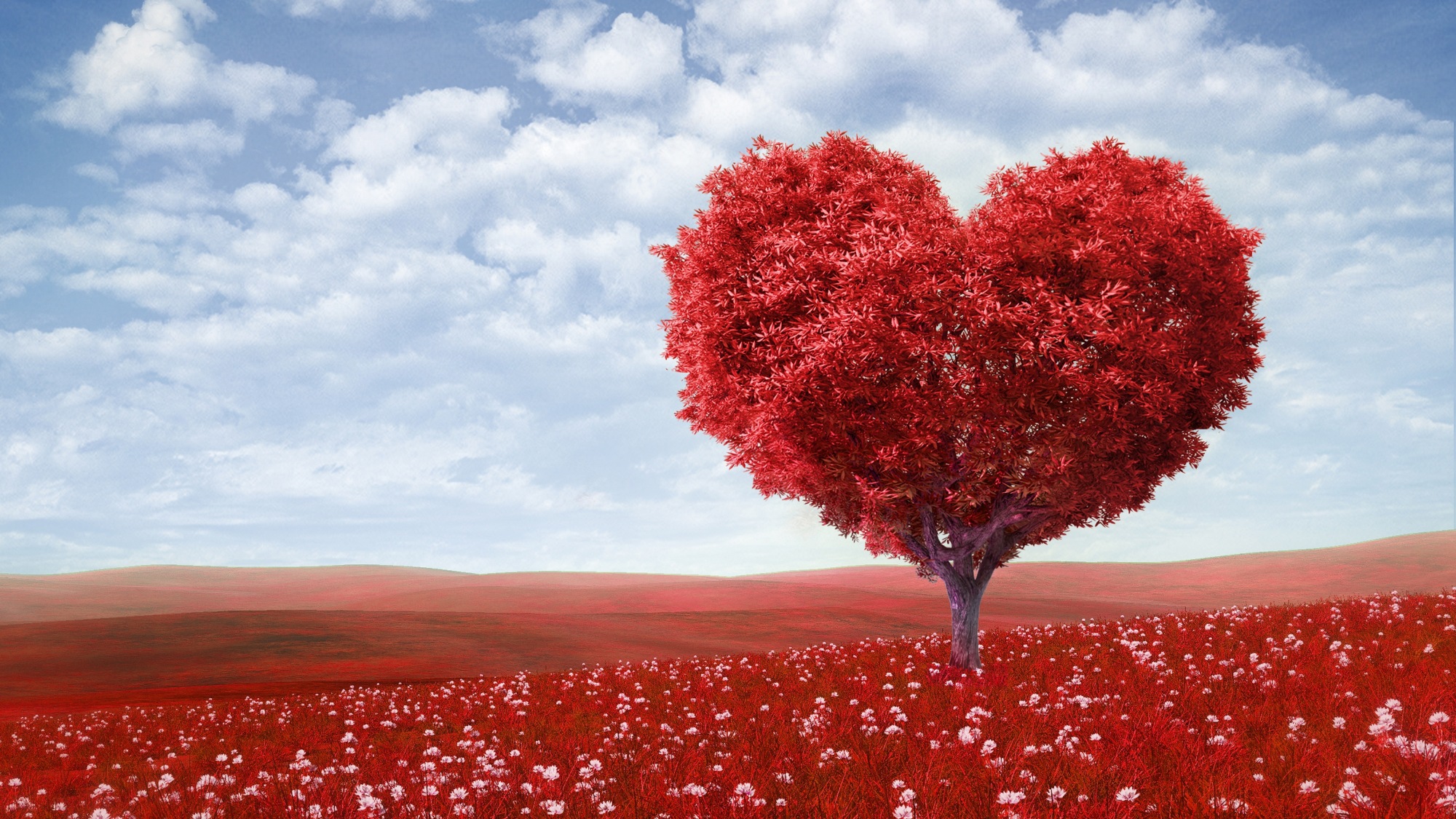 Valentines Day