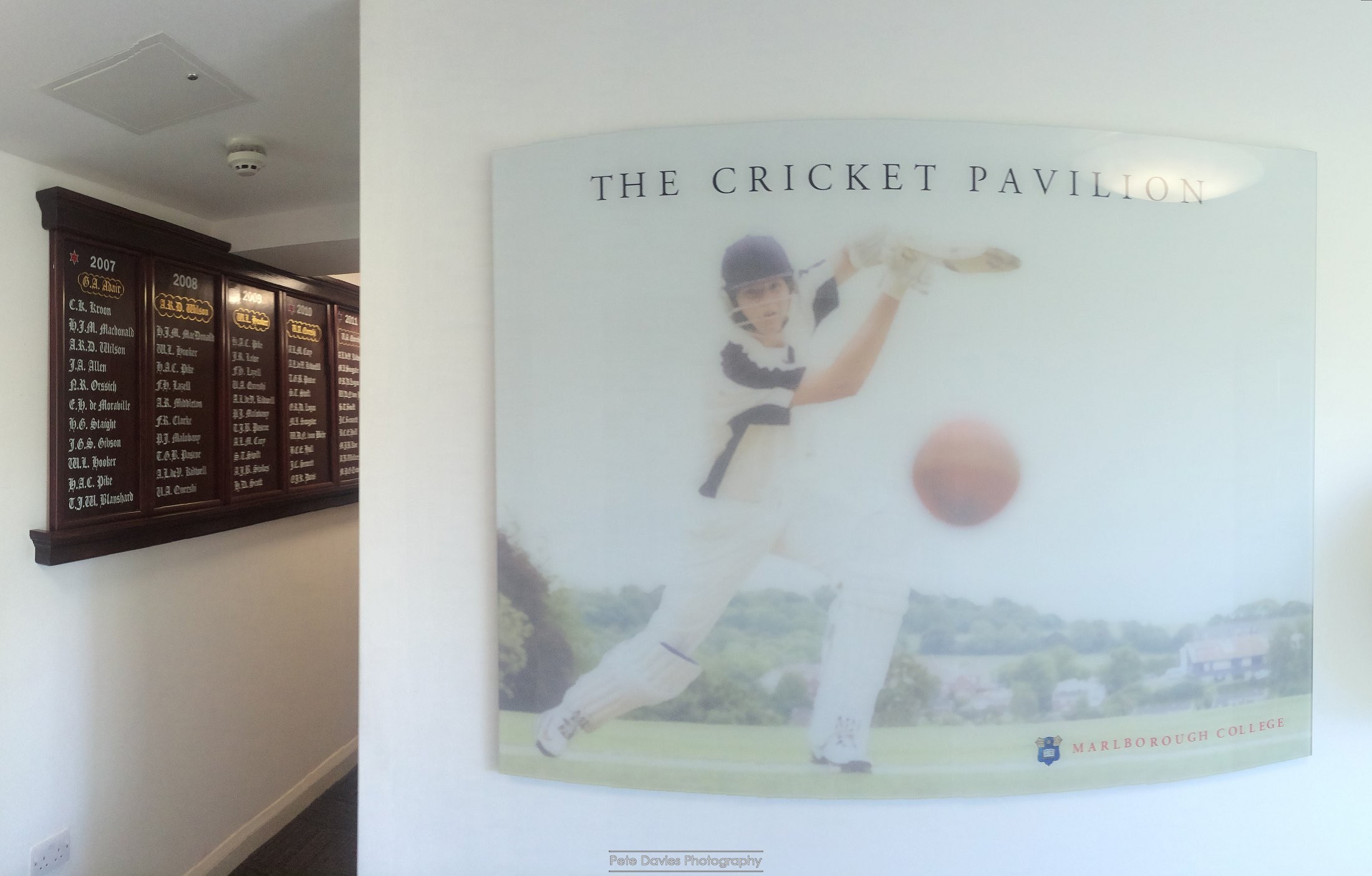 Cricket Near Miss!