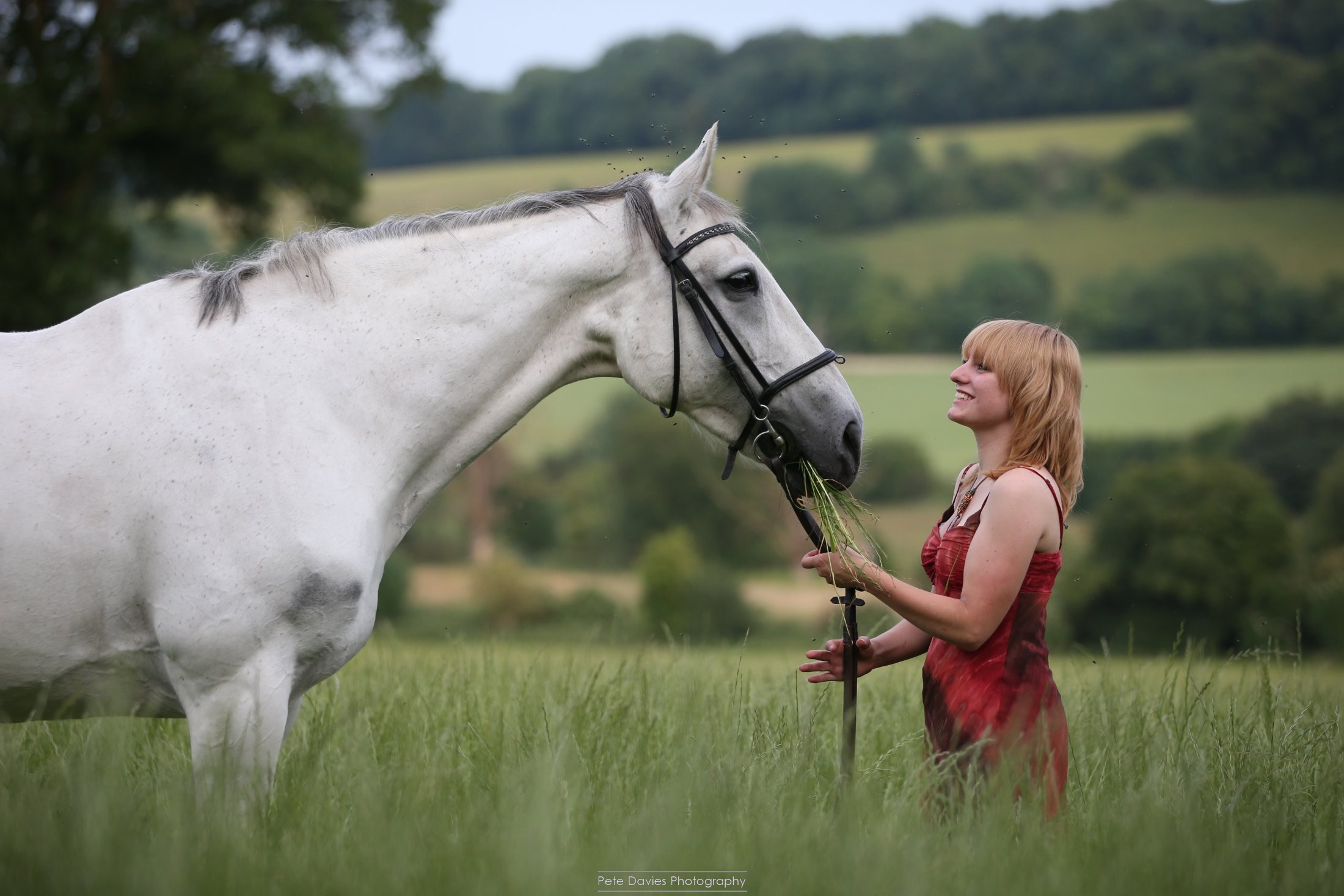 Why You Should Learn Image Editing: Turning a Good Photo into a Great Photo 