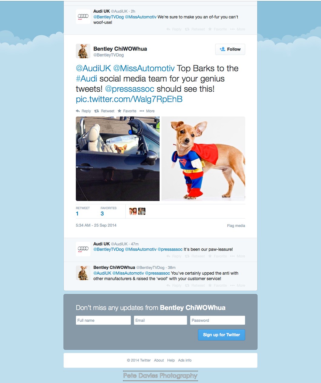 Bentley the Super Pooch trending on Twitter with Audi UK