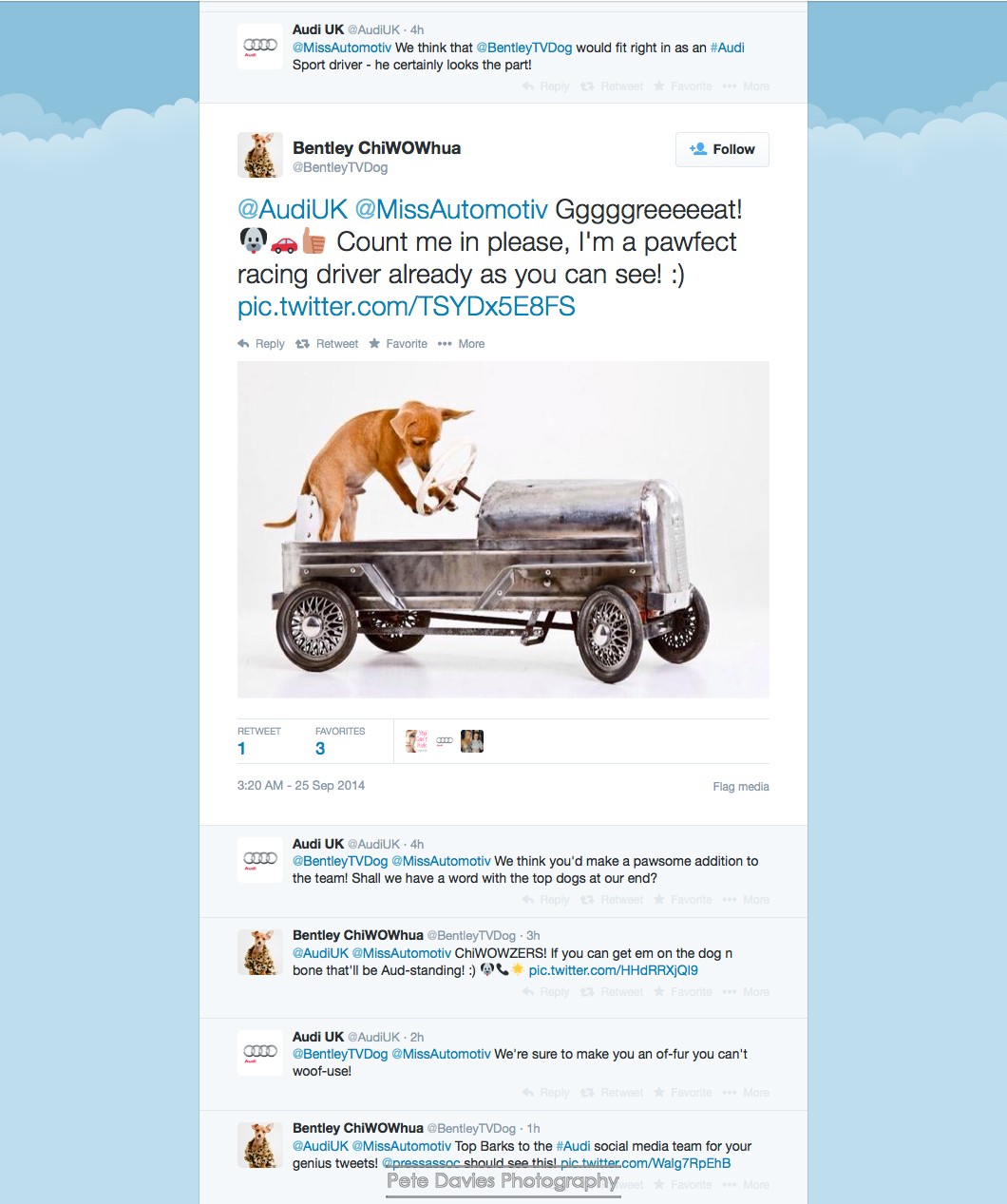 Bentley the Super Pooch trending on Twitter with Audi UK