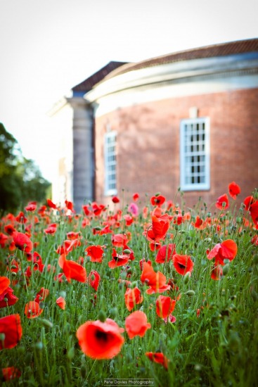 Poppy Appeal 2015